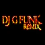Dizko Funk MashUp Megamix 2026 (Clean Dirty) 123-127bpm